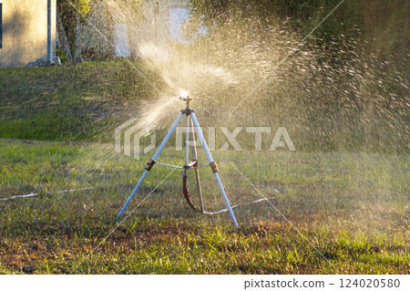 Sprinkler irrigating grass lawn with water in summer garden. Watering green vegetation during dry season for maintaining it fresh 124020580