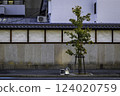 Abandoned household goods by tree in street, Osaka, Japan 124020759