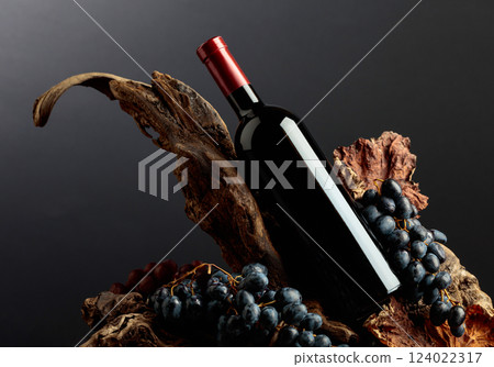 Bottle of red wine with grapes and dried-up vine leaves on old wooden snags. Bottle of red wine with grapes and dried-up vine leaves on old wooden snags. 124022317
