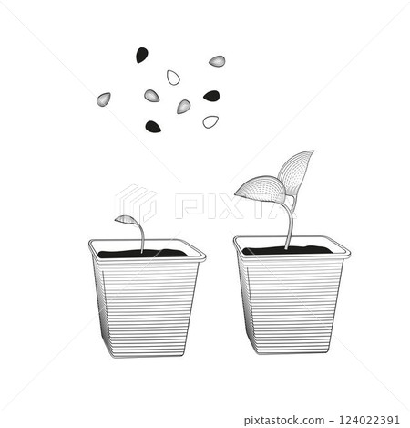 sprout in a seedling cup and seeds black white vector illustration 124022391