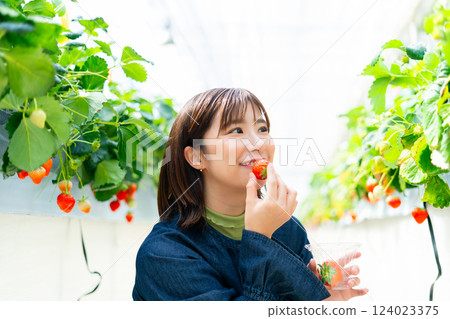 一個女人在摘草莓 一個女人在摘草莓 124023375