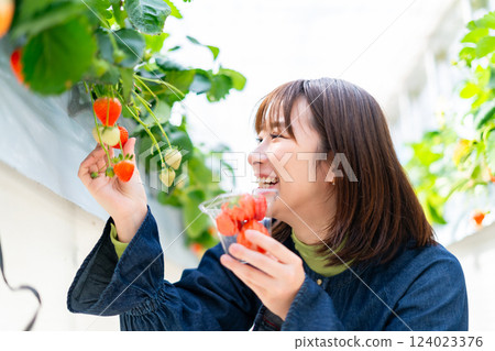 A woman picking strawberries A woman picking strawberries 124023376