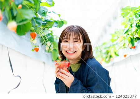 A woman picking strawberries A woman picking strawberries A woman picking strawberries A woman picking strawberries 124023377