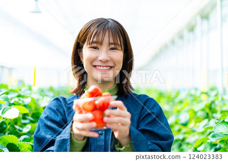 一個女人在摘草莓 一個女人在摘草莓 124023383
