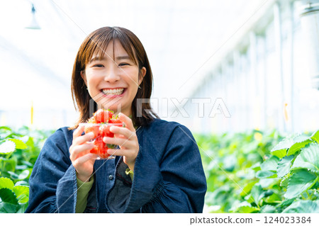 一個女人在摘草莓 一個女人在摘草莓 124023384