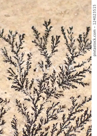 Close-up of Shinobu stone 124023515