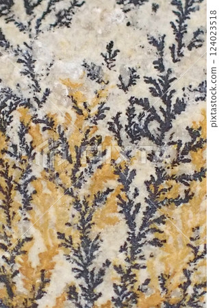 Close-up of Shinobu stone 124023518