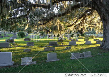 Old cemetery with grave stones under oak trees on green grass lawn in Orlando, Florida. Concept of death 124023595