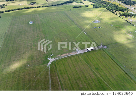 Milk cows grazing on green farm pasture. Production of organic dairy products. Feeding of cattle on farmland grassland 124023640