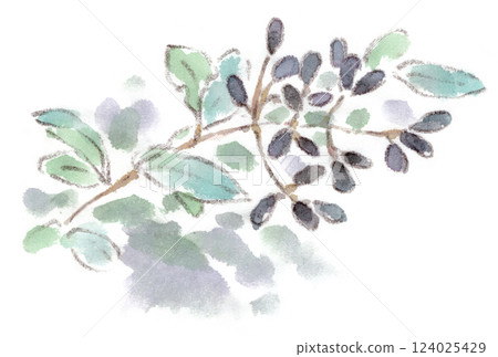 A watercolor illustration of the black, chic and elegant Japanese quince fruit A watercolor illustration of the black, chic and elegant Japanese quince fruit 124025429