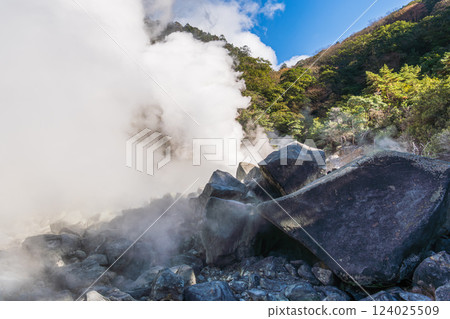 鹿兒島縣栗野山八幡大地獄:蒸氣升騰的旅遊景點照片 鹿兒島縣栗野山八幡大地獄:蒸氣升騰的旅遊景點照片 124025509