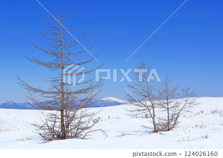 三月的霧峰 124026160