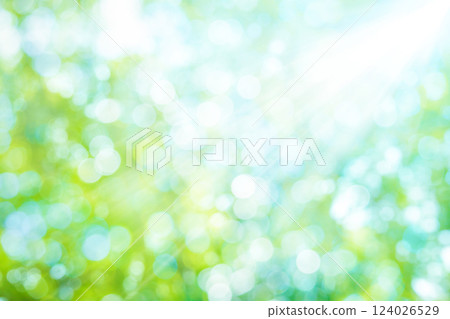 模糊的綠色背景 124026529