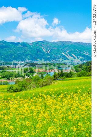 Iiyama City · Nanohana Park 124026779