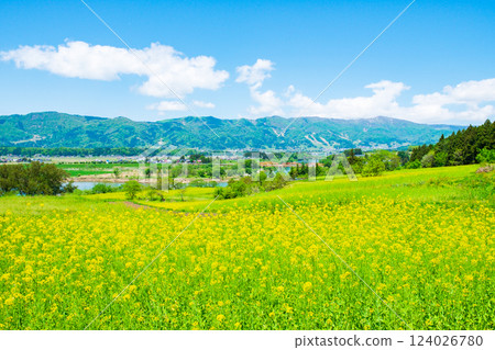 飯山市·Nanohana公園 124026780