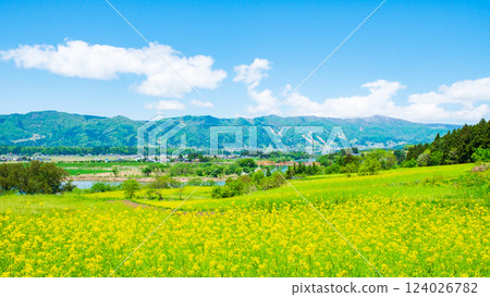 Iiyama City · Nanohana Park Iiyama City · Nanohana Park 124026782