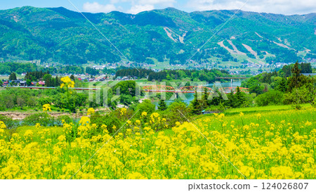 Iiyama City · Nanohana Park Iiyama City · Nanohana Park 124026807