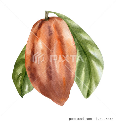 Fresh orange cocoa pod with green leaves watercolor illustration. Hand drawn cacao beans, chocolate and coffee ingredient botanical clipart for wallpaper, menu, label ,concept design 124026832