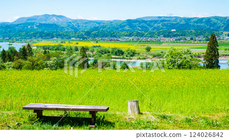 飯山市·Nanohana公園 124026842