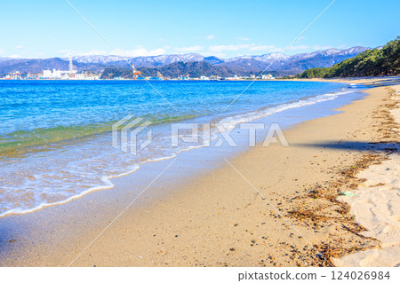 Kehi Pine Bara in March [Fukui Prefecture] 124026984