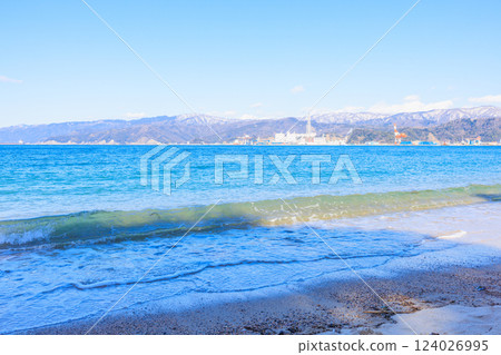 Kehi Pine Bara in March [Fukui Prefecture] 124026995