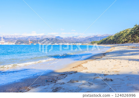 Kehi Pine Bara in March [Fukui Prefecture] 124026996