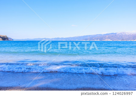 Kehi Pine Bara in March [Fukui Prefecture] 124026997