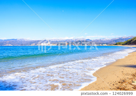 Kehi Pine Bara in March [Fukui Prefecture] 124026999