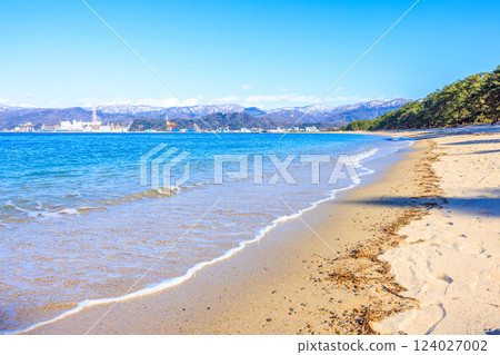 Kehi Pine Bara in March [Fukui Prefecture] 124027002