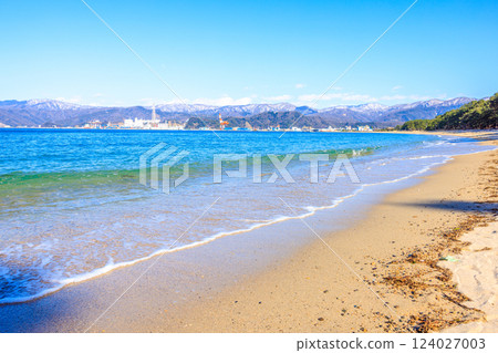 Kehi Pine Bara in March [Fukui Prefecture] 124027003