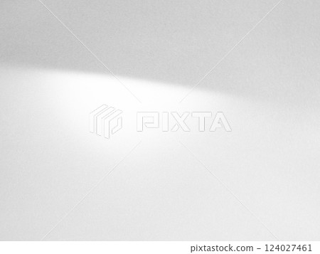 shadow Background Wall Light White Abstract Overlay Plant Backdorp Sunlight Mockup Minimal Gray Summer Black Photography Floor blur Cement Grey Minimal Product Beauty Cosmetic Presentation Template. 124027461
