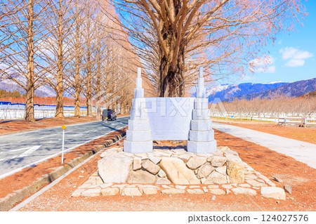 Metasequoia Avenue in March [Shiga Prefecture] 124027576