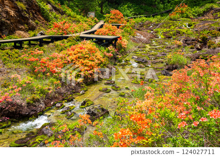 蓮月寺與洞地獄3 蓮月寺與洞地獄3 124027711