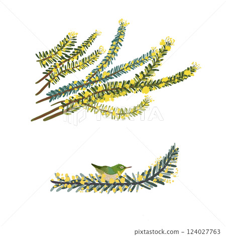 含羞草的插圖 124027763