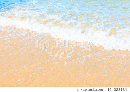 美麗的沙灘和海浪 美麗的沙灘和海浪 124028184