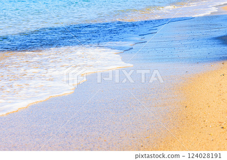 美麗的沙灘和海浪 124028191