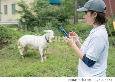 mountain goat, digital tablet, tablet 124028435