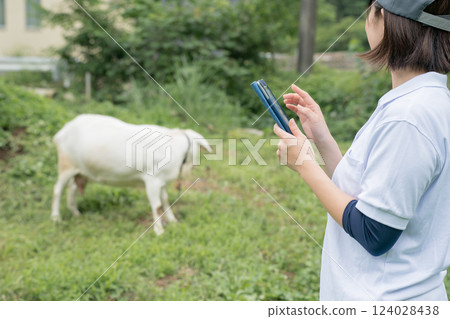 雪羊 平板 便箋簿 124028438