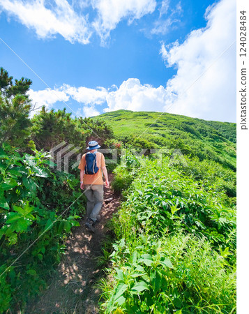 Hiuchiyama and Myokoyama mountain climbing in summer (Tengu Garden to the summit of Hiuchiyama) 124028484