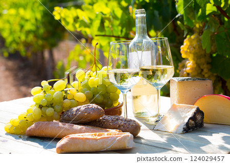 White wine with cheese, bread and grapes in vineyard White wine with cheese, bread and grapes in vineyard 124029457