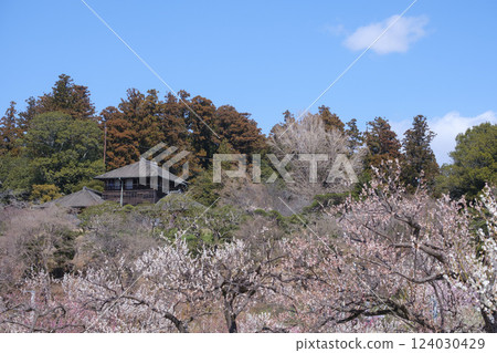偕樂園、梅林和好文亭 124030429
