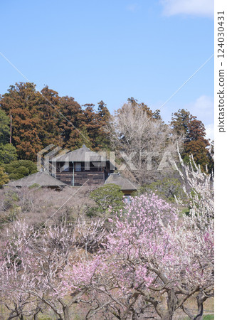 偕樂園、梅林和好文亭 124030431