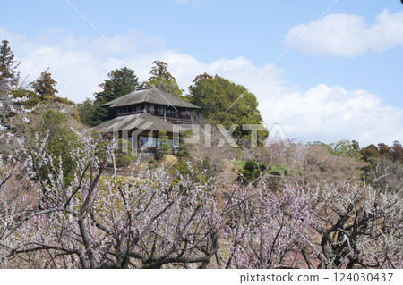 偕樂園、梅林和好文亭 偕樂園、梅林和好文亭 124030437