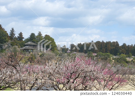偕樂園、梅林和好文亭 偕樂園、梅林和好文亭 124030440