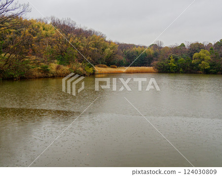 Pond in Meitoku Park, eastern Nagoya 124030809