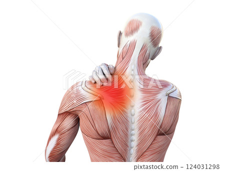 3D illustration of a man with muscle anatomy holding his shoulder with stiff shoulders, upper body, back view (image of red pain) 124031298