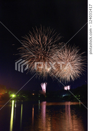 岩手縣盛岡市的夜空和煙火 124031417