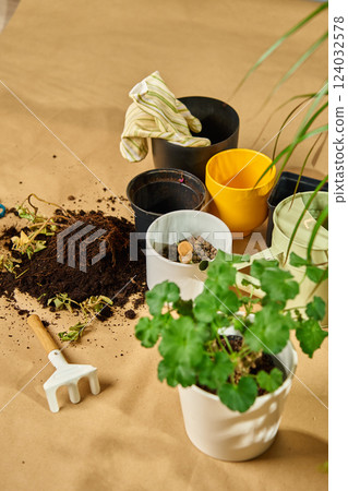Gardening tools and potted plants during repotting process. Houseplant care Gardening tools and potted plants during repotting process. Houseplant care 124032578