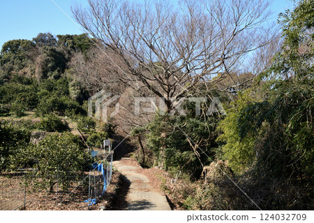 糸賀峠 [和歌山縣有田市、湯淺町] 124032709