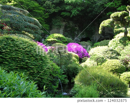 Green garden with blooming azaleas 124032875